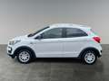 Ford Ka/Ka+ 1,2 Active Weiß - thumbnail 2