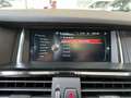 BMW X4 xdrive20d Msport auto - 19" - Tetto - Camera -Navi Blue - thumbnail 17