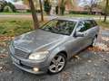 Mercedes-Benz C 350 C 350 T CDI DPF 4Matic Elegance Automatic Grau - thumbnail 13
