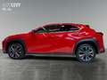 Lexus UX 300h F Sport Design Sitzhzg+ Parkassist+1,99%! crvena - thumbnail 3
