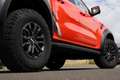 Ford Ranger Raptor DK e-4WD 3.0 +1.HAND+AHK*NAVI+LED+ Naranja - thumbnail 7