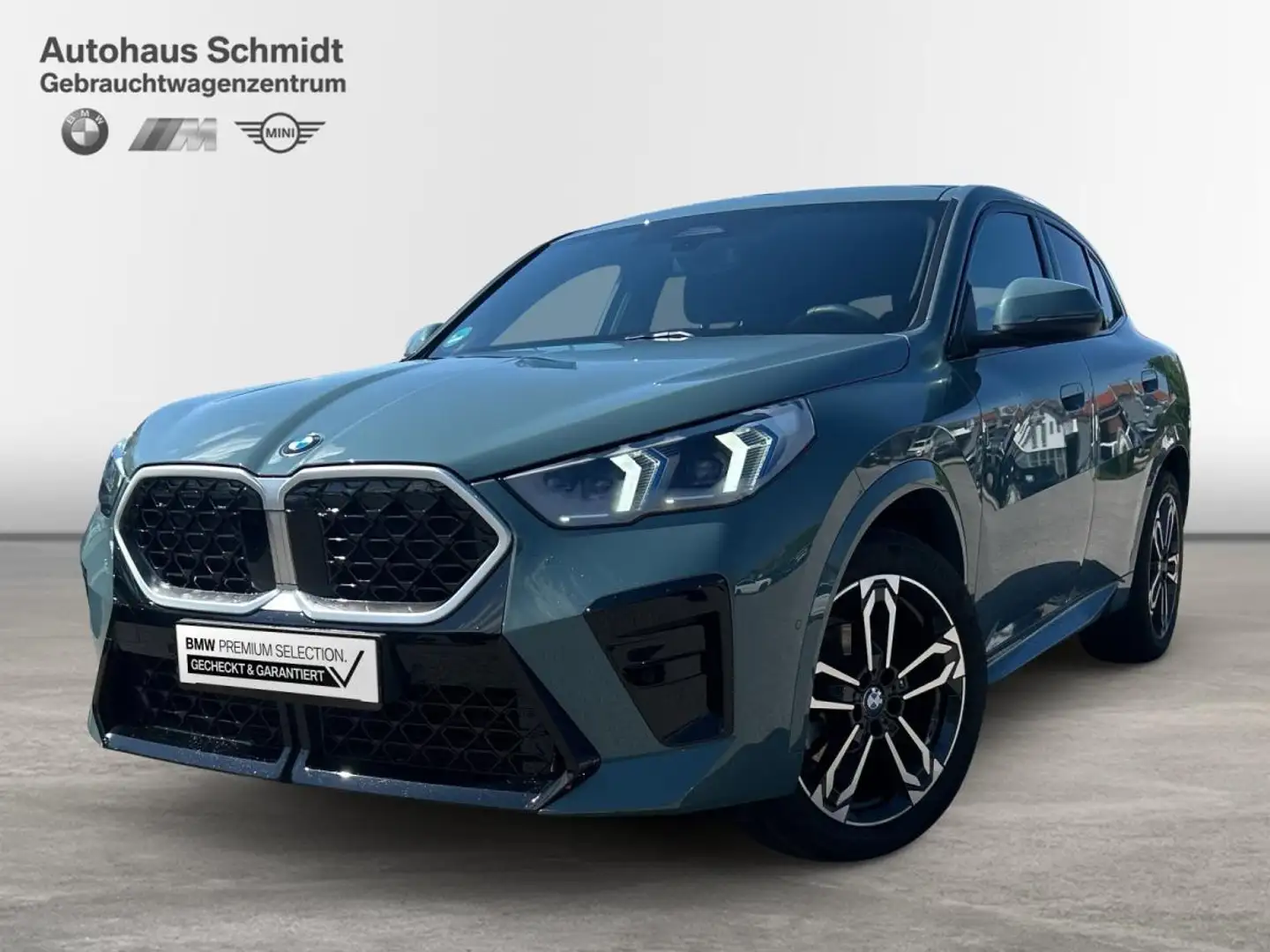 BMW X2 sDrive18d *M Sportpaket*Adap Fahrw*Driv Assistant* Grün - 1