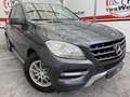 Mercedes-Benz ML 250 250BlueTec 4M 7G Plus Blau - thumbnail 1
