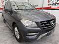 Mercedes-Benz ML 250 250BlueTec 4M 7G Plus Blau - thumbnail 25