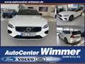 Volvo V60 T6 Twin Engine IntelliSafe+Winter+Licht uvm. bijela - thumbnail 1