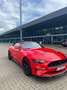 Ford Mustang Convertible 2.3 Eco Boost Rouge - thumbnail 9
