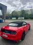Ford Mustang Convertible 2.3 Eco Boost Rouge - thumbnail 4
