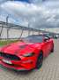 Ford Mustang Convertible 2.3 Eco Boost Rouge - thumbnail 10