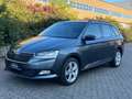Skoda Fabia Kombi Cool Plus 1.0TSI 95PS/SHZ/1.HAND Gris - thumbnail 8