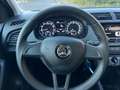 Skoda Fabia Kombi Cool Plus 1.0TSI 95PS/SHZ/1.HAND Gris - thumbnail 10