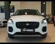 Jaguar E-Pace (X540) - E-Pace 1.5 I3 160CV Auto SE 2023 *KM 0* Bianco - thumbnail 2