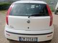 Fiat Punto Punto II 2003 5p 1.2 Actual abs Bianco - thumbnail 8