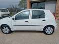 Fiat Punto Punto II 2003 5p 1.2 Actual abs Bianco - thumbnail 7