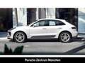 Porsche Macan Panoramadach Rückfahrkamera Sitzheizung Weiß - thumbnail 2