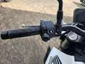 Honda CB 1000 Hornet Weiß - thumbnail 5
