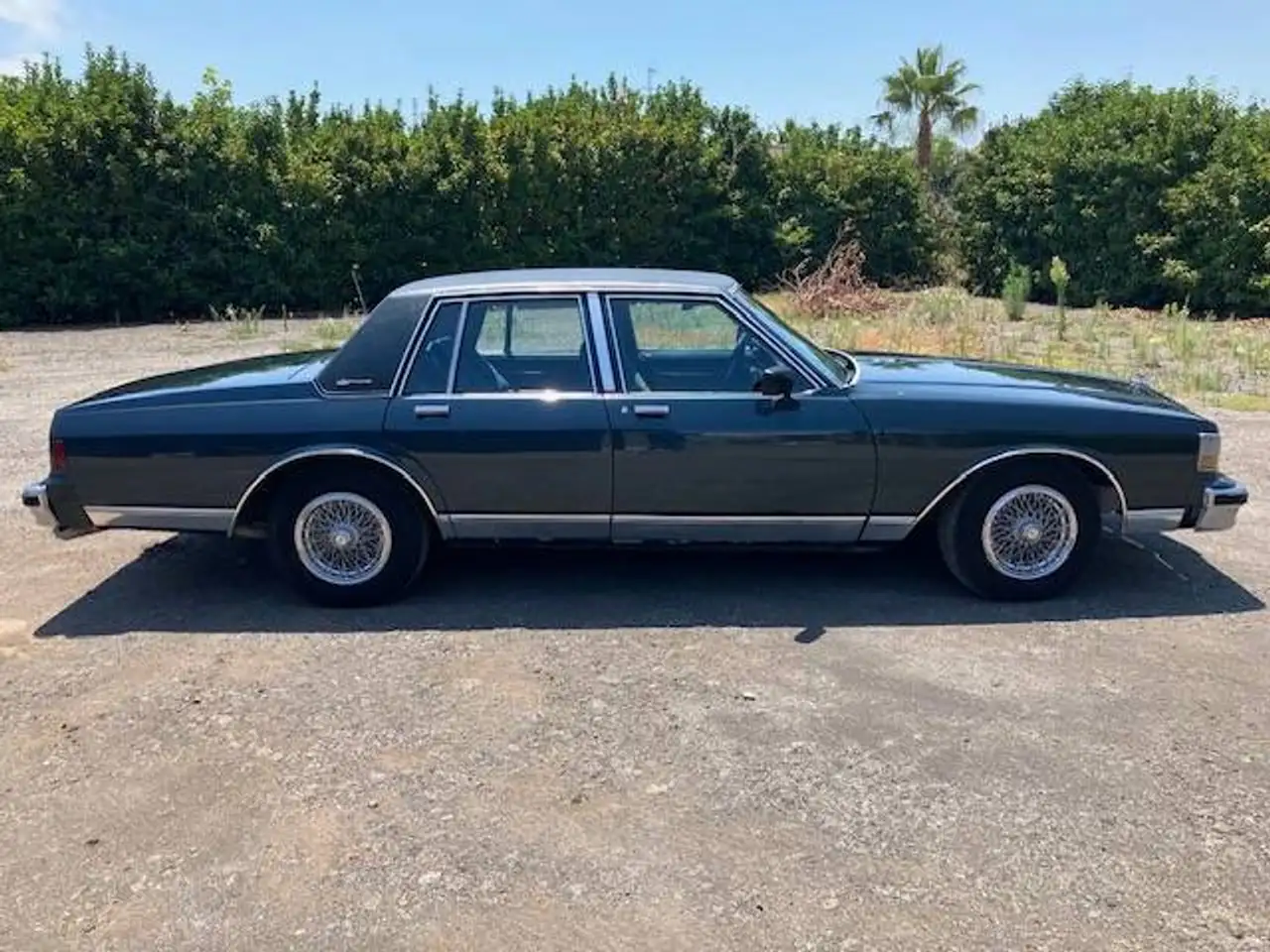 Chevrolet Caprice Classic Brougham, foto 5