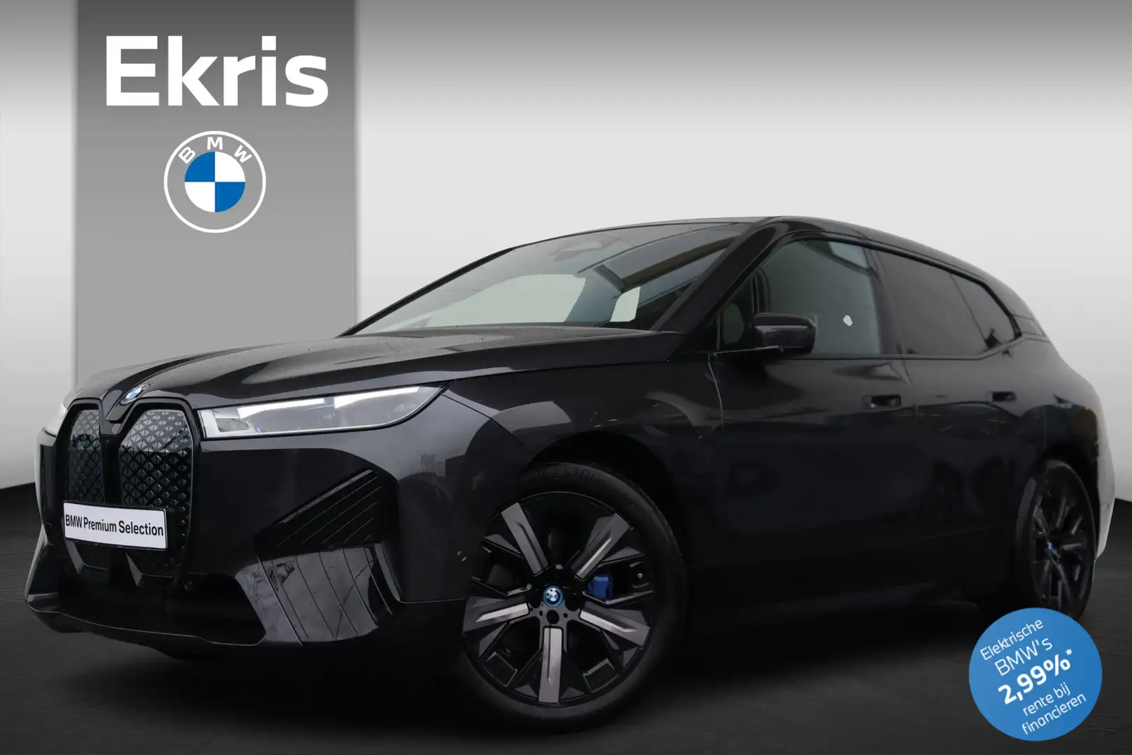 BMW iX xDrive40 Business Edition Plus 77 kWh Sportpakket Grijs - 1
