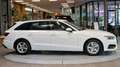 Audi A4 A4 30 TDI Avant S-Tronic *Navi*LED*Dachreling* Weiß - thumbnail 13