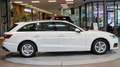 Audi A4 A4 30 TDI Avant S-Tronic *Navi*LED*Dachreling* Weiß - thumbnail 12