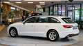 Audi A4 A4 30 TDI Avant S-Tronic *Navi*LED*Dachreling* Weiß - thumbnail 5