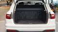 Audi A4 A4 30 TDI Avant S-Tronic *Navi*LED*Dachreling* Weiß - thumbnail 17