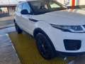 Land Rover Range Rover Evoque Range rover evoque premium 2018 - thumbnail 12