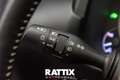 Lexus NX 300h 2.5 Hybrid 155CV Business 2wd cvt Grigio - thumbnail 12