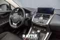 Lexus NX 300h 2.5 Hybrid 155CV Business 2wd cvt Grey - thumbnail 15