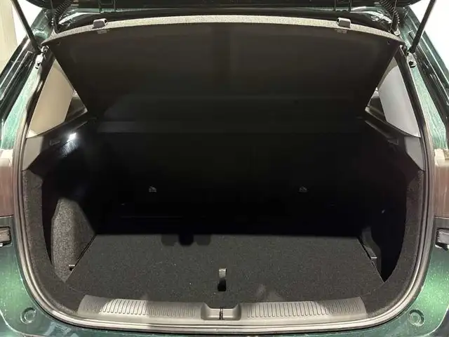 MG ZS view 7