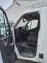 Opel Movano 2.3 D (CDTI) L3H1 DPF 2WD VA Easytronic Білий - thumbnail 6
