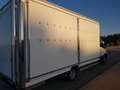 Iveco Daily Daily Chasis Cabina 35C18 4100 180 Blanco - thumbnail 6