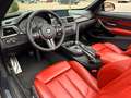 BMW M4 Cabrio HeadUp KeylessGo Kamera 360° Grau - thumbnail 11