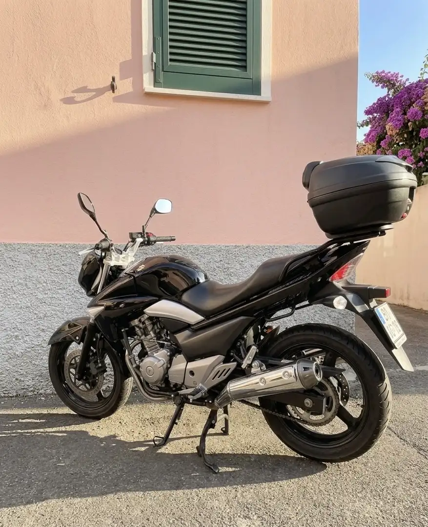 Suzuki Inazuma 250 - 2