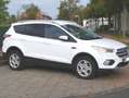 Ford Kuga Business Edition * Navi-PDC-Allwetter * Weiß - thumbnail 4