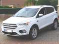 Ford Kuga Business Edition * Navi-PDC-Allwetter * Weiß - thumbnail 6