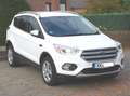 Ford Kuga Business Edition * Navi-PDC-Allwetter * Weiß - thumbnail 2