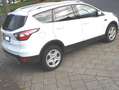 Ford Kuga Business Edition * Navi-PDC-Allwetter * Weiß - thumbnail 8