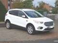 Ford Kuga Business Edition * Navi-PDC-Allwetter * Weiß - thumbnail 3