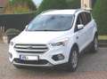 Ford Kuga Business Edition * Navi-PDC-Allwetter * Weiß - thumbnail 5