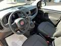 Fiat Panda 1.0 firefly hybrid Nero - thumbnail 10
