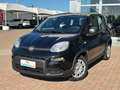 Fiat Panda 1.0 firefly hybrid Nero - thumbnail 2