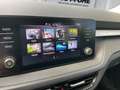 Skoda Fabia 1.0 MPI Ambition (EURO 6d) LED Navi SHZ Albastru - thumbnail 14
