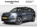 Skoda Kodiaq 1.5 TSI Sportline Business Automaat Panoramadak | Grau - thumbnail 1