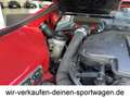 De Tomaso Pantera Das Biest! Nur für Freaks - Einzelstück! Rot - thumbnail 23