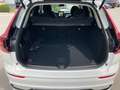 Volvo XC60 Plus, T6 AWD Plug-in Hybrid, Elektrisch/Benzin, Dark Weiß - thumbnail 5