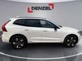 Volvo XC60 Plus, T6 AWD Plug-in Hybrid, Elektrisch/Benzin, Dark Weiß - thumbnail 10