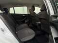 Ford Focus Wagon 1.0 EcoBoost Hybrid Active Business ZWART-DA Blanc - thumbnail 16
