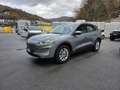 Ford Kuga Kuga 2.0 ecoblue mhev Titanium Business 2wd 150cv - thumbnail 1