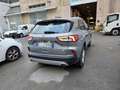 Ford Kuga Kuga 2.0 ecoblue mhev Titanium Business 2wd 150cv - thumbnail 3