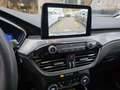 Ford Kuga Kuga 2.0 ecoblue mhev Titanium Business 2wd 150cv - thumbnail 7
